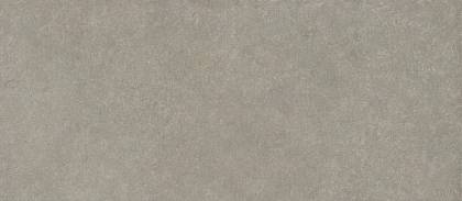 Boost Mineral Grey Elegant 120x278 6mm (AHWY) Керамогранит