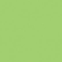 Greencolors Lime 20 (2I0O) 20x20 Керамогранит