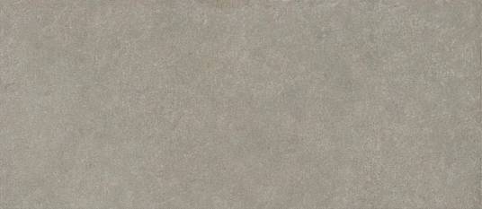 Boost Mineral Grey Elegant 120x278 6mm (AHWY) Керамогранит