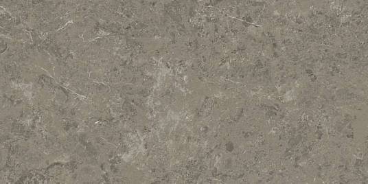 Marvel Meraviglia Grigio Elegante 60x120 (AJIU) керамогранит