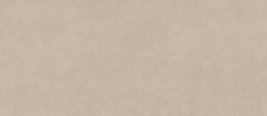 Boost Natural Ash 120x278 A67C Керамогранит
