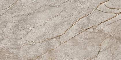 Empire Silver Root 60x120 (610010002187) Керамогранит