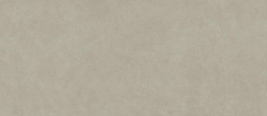 Boost Natural Pro Dove 120x278 - 6mm   (AQ9I) керамогранит