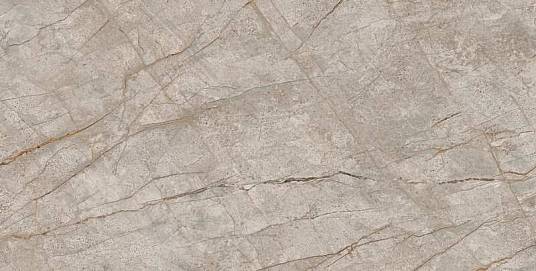 Empire Silver Root Rett 80x160 (610010002173) Керамогранит