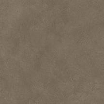 Boost Natural Umber 60x60 A66F Керамогранит