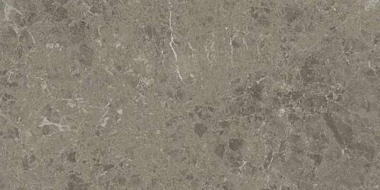 Marvel Meraviglia Grigio Elegante 30x60 Lapp. (AJJI) керамогранит