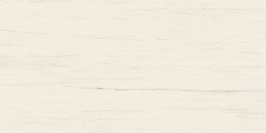 Marvel Bianco Dolomite Polished 160x320 (AO5X) Керамогранит