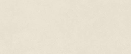 Boost Natural Pro Salt 50x120   (AQ6N) керамическая плитка