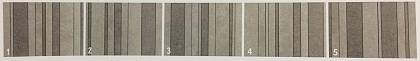 CANONE INVERSO 3 (A2US) 81X32 Неглазурованный Керамогранит