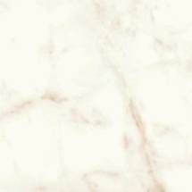 Marvel Calacatta Delicato 60x60 Silk (A5TC) Керамогранит