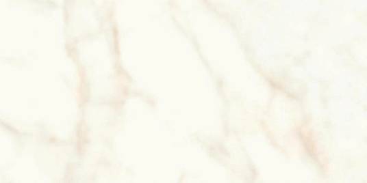 Marvel Calacatta Delicato 30x60 Silk (A5TG) Керамогранит