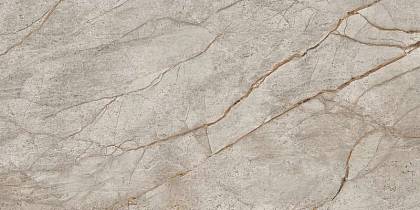 Empire Silver Root Rett 60x120 Lapp (610015000618) Керамогранит
