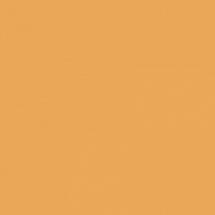 Greencolors Mandarino 20 (2I0U) 20x20 Керамогранит