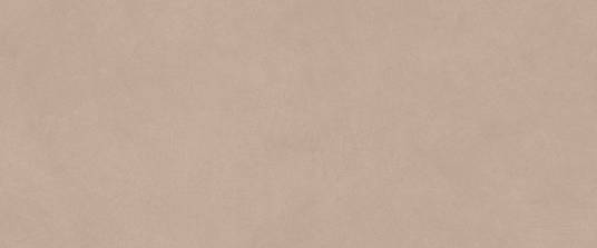 Boost Natural Pro Skin 50x120   (AQ6Q) керамическая плитка
