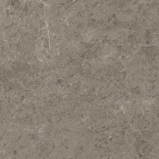 Marvel Meraviglia Grigio Elegante 120x120 Velvet (AJIL) керамогранит