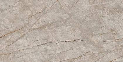 Empire Silver Root Rett 80x160 (610010002173) Керамогранит