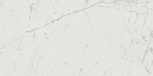 Marvel Carrara Pure 60x120 (A21E) керамогранит