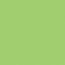 Greencolors Lime 20 (2I0O) 20x20 Керамогранит