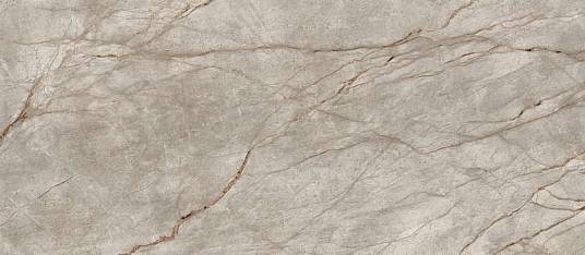 Empire Silver Root 120x278 Lapp (600180000015) Керамогранит