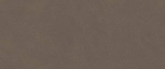 Boost Natural Pro Coffè 50x120   (AQ6S) керамическая плитка