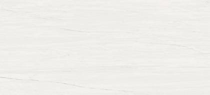 Marvel Bianco Dolomite 110 (AZOR) 50X110 Керамическая плитка